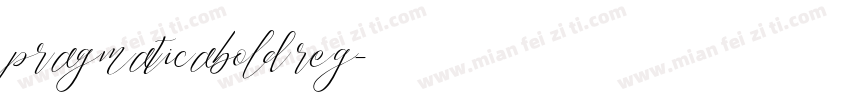 pragmaticabold reg字体转换